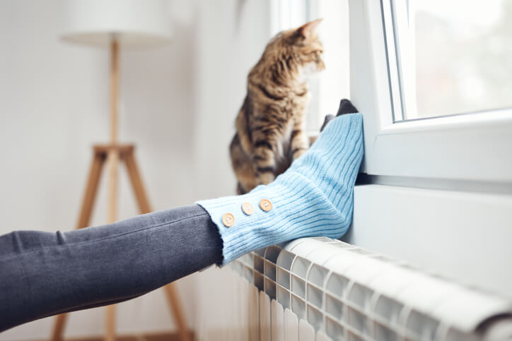 Woman's feet with woolen socks, next to a domestic cat looking out of the window in winter.